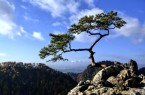 mountains-1012363_1920